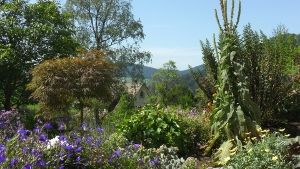 Blühender Garten am Haus