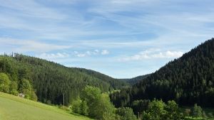 Blick ins Reichenbachtal
